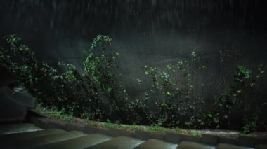 Krasnodar 'daki Galitskogo Parkı' ndan akan bir kase şeklinde gece çeşmesi.