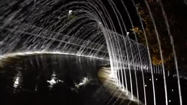 Prachtige Nachtfontein Galitskogo Park Krasnodar — Stockvideo