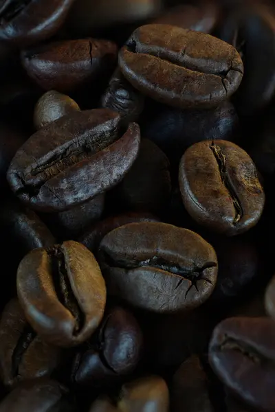 Pörkölt Kávébab Közelről — Stock Fotó