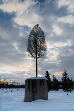 Krasnodar şehrinin gece parkı. Galitskogo Parkı