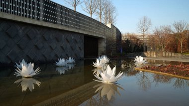Krasnodar şehrinin parkı. Galitskogo Parkı