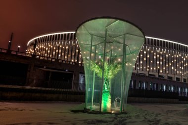 Galitskogo Park, Krasnodar 'daki gece parkında palmiye ağaçları.