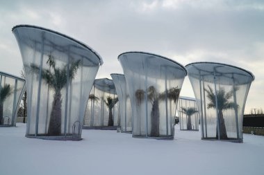 Krasnodar şehrinin kış parkı. Galitskogo Parkı