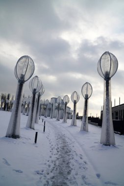 Krasnodar şehrinin kış parkı. Galitskogo Parkı