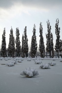 Krasnodar şehrinin kış parkı. Galitskogo Parkı