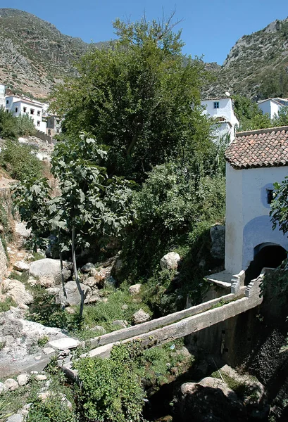 Kuzey Fas 'ın kuzeybatısındaki Şef Mavi Şehir.