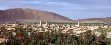 Fas 'taki Figuig Palmiyesi