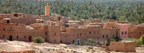 Φοινικόδασος Του Tafilalet Sijilmasa Στο Μαρόκο — Φωτογραφία Αρχείου