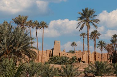 Fas 'ın güneydoğusundaki Figuig Palmiyesi.
