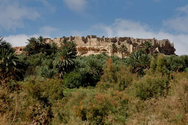 Palmenhain Von Tafilalet Marokko — Stockfoto