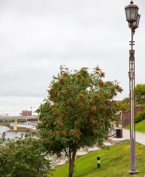 Tyumen Nehri 'nin güzel granit seti.