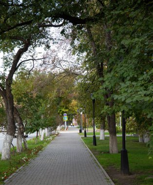 Tyumen şehrinin merkez meydanında güzel bir patika.