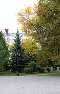 Tyumen şehrinin merkez meydanında güzel bir patika.