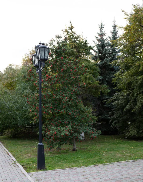 Belo Caminho Praça Central Cidade Tyumen — Fotografia de Stock