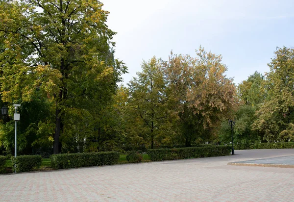 Bel Sentiero Sulla Piazza Centrale Della Città Tyumen — Foto Stock