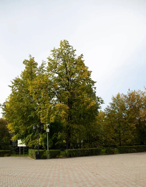 Ein Schöner Weg Auf Dem Zentralen Platz Der Stadt Tjumen — Stockfoto