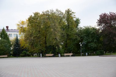 Tyumen şehrinin merkez meydanında güzel bir patika.