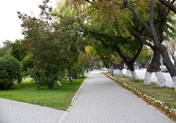 Tyumen Şehrinin Merkez Meydanında Güzel Bir Patika — Stok fotoğraf
