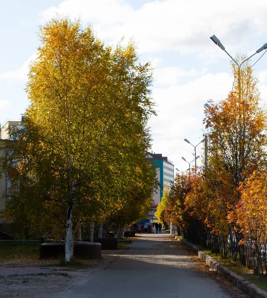 Een Prachtig Pad Het Centrum Van Stad Noyabrsk Yamal — Stockfoto