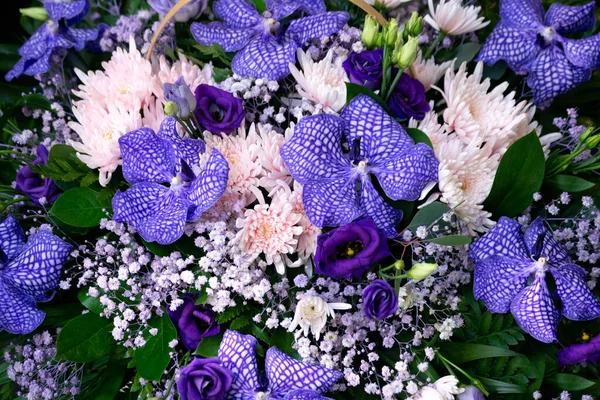 Lahjakimppu violetti orkideat korissa. Orkideat, krysanteemit, kamomilla, kukkakimppu sävellyksiä. — kuvapankkivalokuva