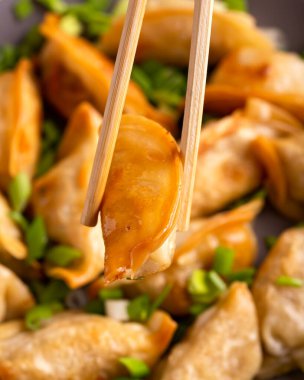 Kızarmış taze soğanlı gevrek gyoza. Asya yemekleri.