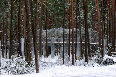 Letonya, Jurmala 'daki Dzintari kış orman parkı.
