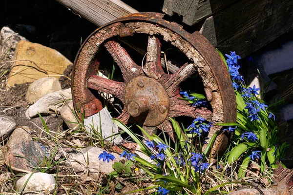 Decorative Vintage Model Old Wooden Wheel Wooden Flower Wheelbarrow — Stock Photo, Image