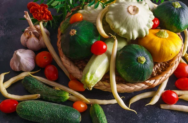 Diferentes Verduras Pequeños Pastos Junto Con Otras Verduras Coliflor Brócoli — Foto de Stock