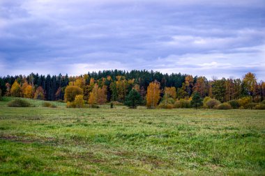 Rural landscape in autumn. The first yellow-red colors of autumn in the forest