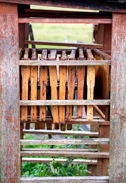 Old Wooden Frames Bees Exposed Dry — Stockfoto
