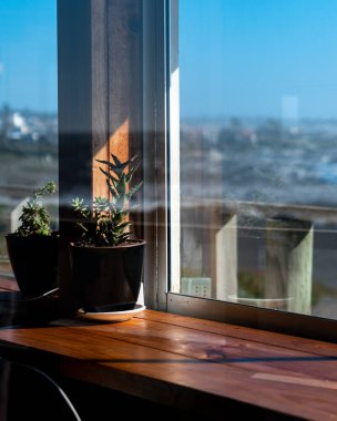 Güneşli bir günde cam bir pencereden görünen ahşap bir masada bitkiler.