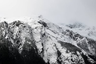 Hornopiren Ulusal Parkı 'ndaki karlı dağların panoramik manzarası.