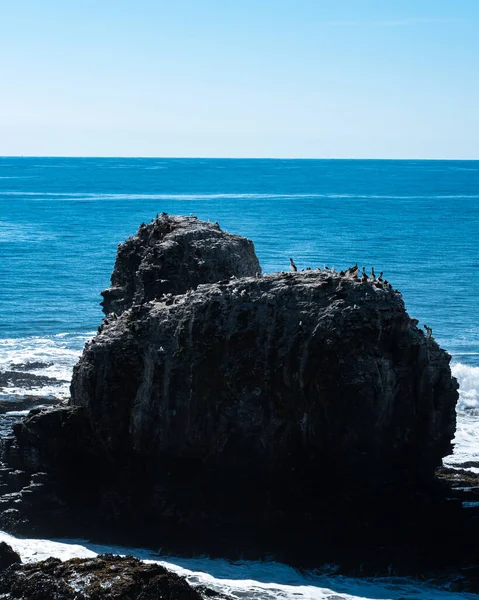 Punta de Lobos yerli hayvanlarla dolu amblematik kayalar.