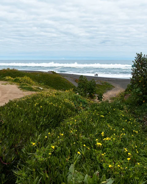 Vista Vertical Vegetação Com Pessoas Desfrutando Praia Fundo — Fotografia de Stock
