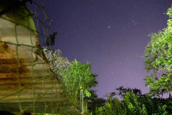 Pleiades up in the night sky