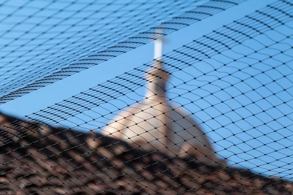 out of focus texture