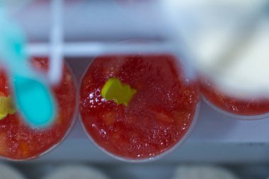 Meyve suyu dondurması.