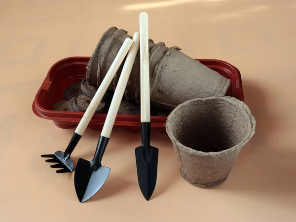 Peat Cups Plastic Container Garden Tool Seedlings — Stock Photo, Image