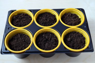 Tohum ekmek için toprak ve turba karışımıyla dolu plastik kaplar. Bahar çalışması için hazırlık