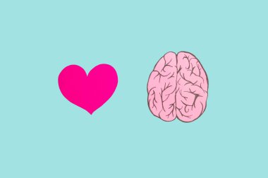Pink brain and heart on a blue background. The minimalist idea is the opposite of reason and feeling. Vivid colors.