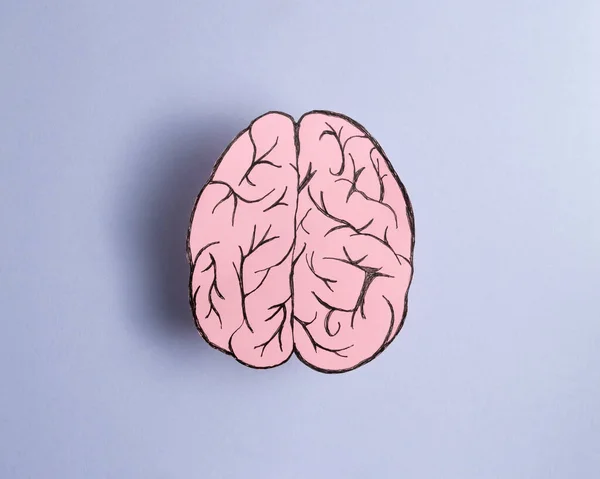 Pink Brain Purple Background Minimalist Idea — стоковое фото