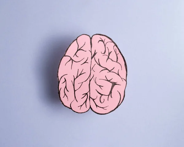 Pink Brain Purple Background Minimalist Idea — Fotografia de Stock