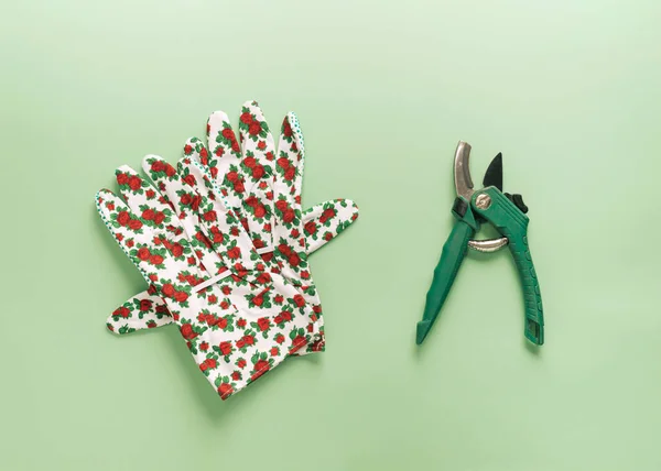 Ψαλίδι Και Γάντια Μικρά Λουλούδια Πράσινο Φόντο Κηπουρική Και Ανθοκομία — Φωτογραφία Αρχείου