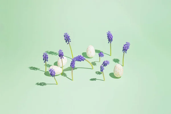 Цветочный Луг Фиолетовый Гиацинт Растет Зеленом Фоне Тенью Полу Пасхальные — стоковое фото