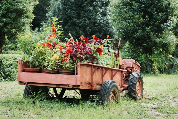 Old Vehicle Flowers Garden Decoaration Design Ideas — Stockfoto