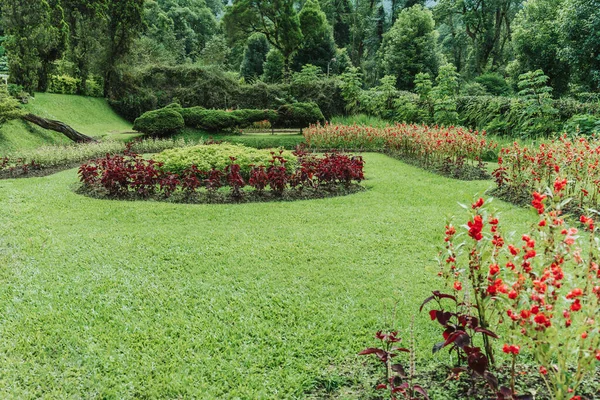 Garden view with multi colored blooming flowers and trees, Stylish Gardening design ideas.