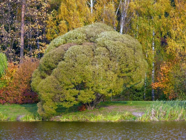 Doğanın güzel doğası