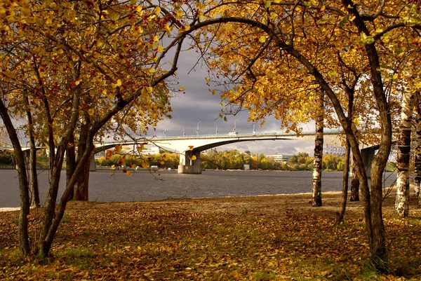 Doğanın güzel doğası