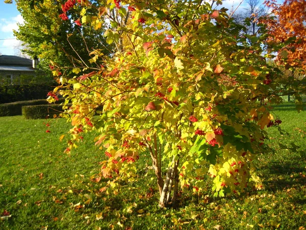 Doğanın güzel doğası