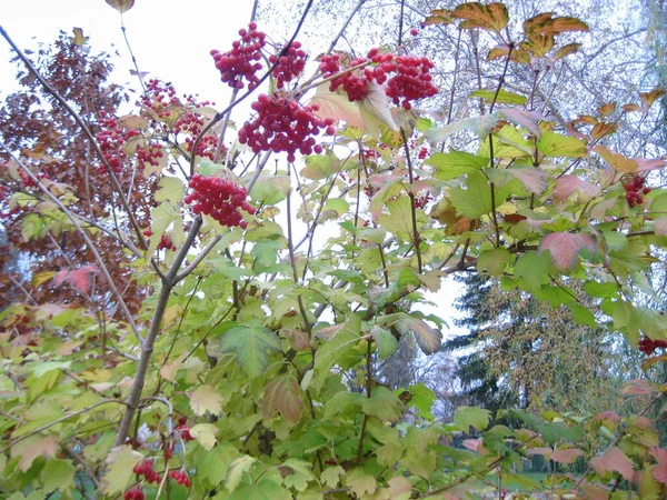 Doğanın güzel doğası